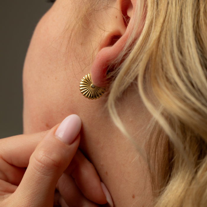 Scallop Ohrstecker Gold
