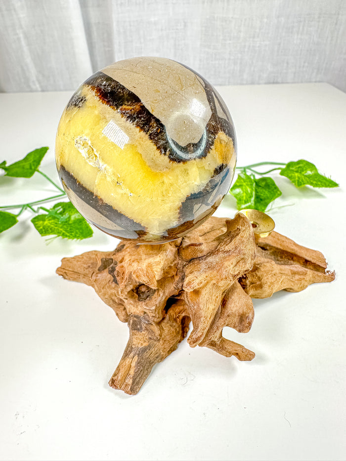 Septarian Sphere (42J)