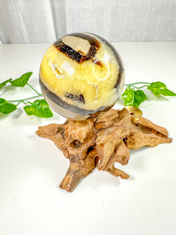 Septarian Sphere (42J)