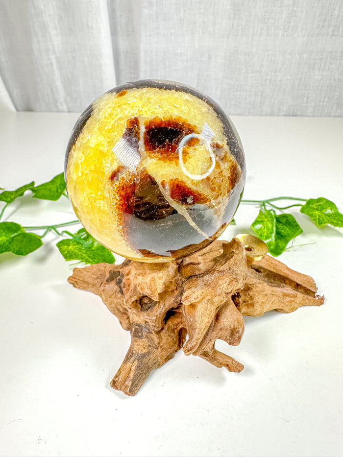 Septarian Sphere (48X)