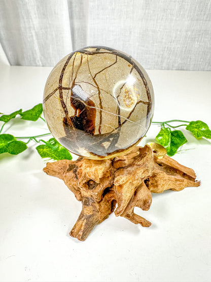 Septarian Sphere (48X)