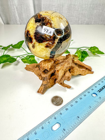 Septarian Sphere (48X)