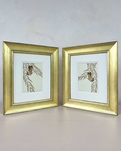 Set Of Two Wisteria And Butterfly Original Painting - Diane Hill