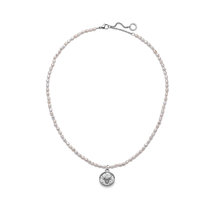 Set Taurus Charm und Halskette Silber