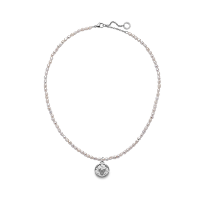 Set Taurus Charm und Halskette Silber
