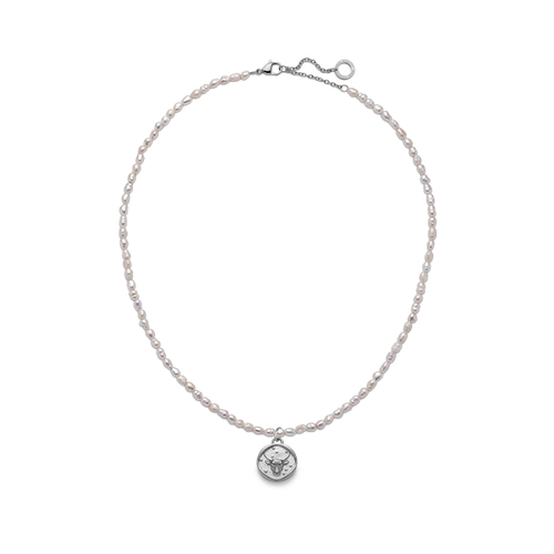 Set Taurus Charm und Halskette Silber