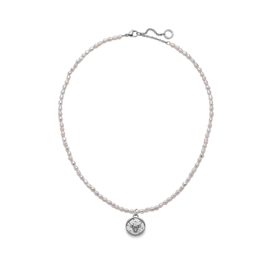 Set Taurus Charm und Halskette Silber