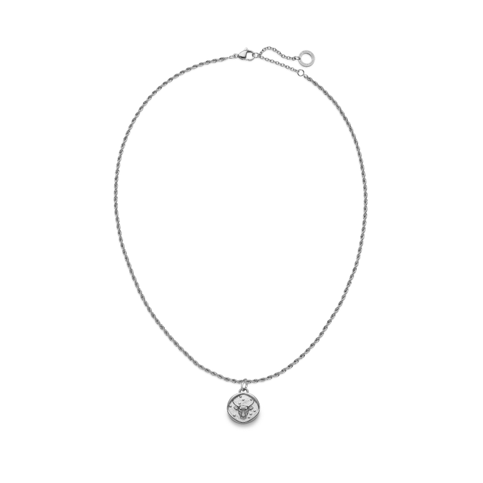 Set Taurus Charm und Halskette Silber