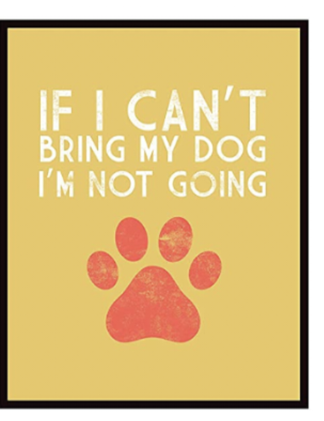 Silly Goose Rescue-Themed Art Prints 8x10 (set of 6)