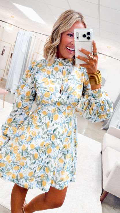 The Lemon Blossom Belle Dress