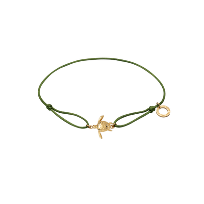 Turtle Band Grün