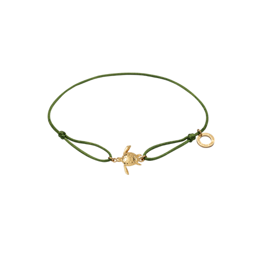 Turtle Band Grün
