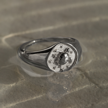 Turtle Signet Ring Silber