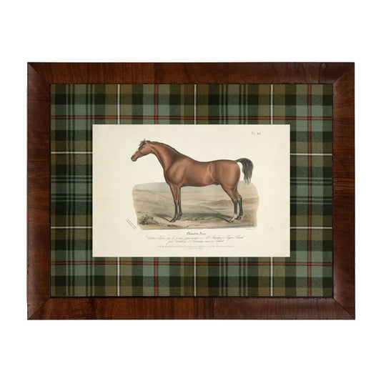 Vintage Horse Bookplate D Matted in Green and Brown Tartan 16x12