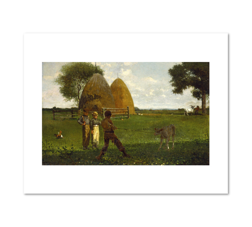 Winslow Homer, Weaning the Calf, Fine Art Prints in various sizes by Museums.Co