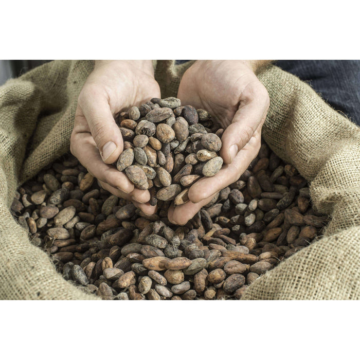 Wholesale Wild Cocoa Powder - Organic, Single-Origin, Small farms Wholesale Wild Foods