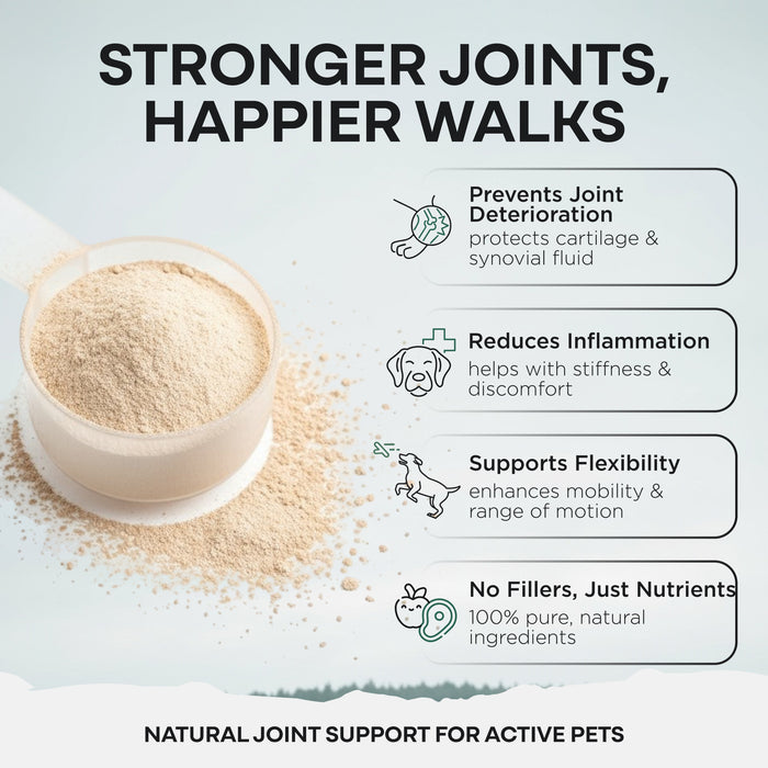 Wild Pets - Blue Lipped Mussel & Glucosamine Powder